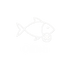 Offish - Home
